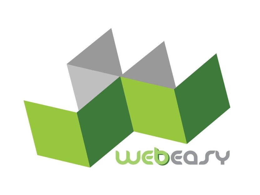 Webeasy Infotech & Education Pvt. Ltd.